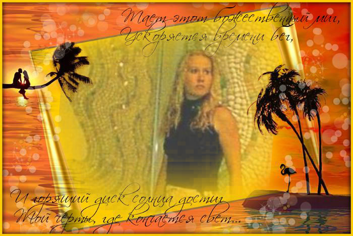 ���� ����������