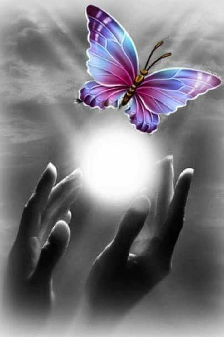 ���� ��������