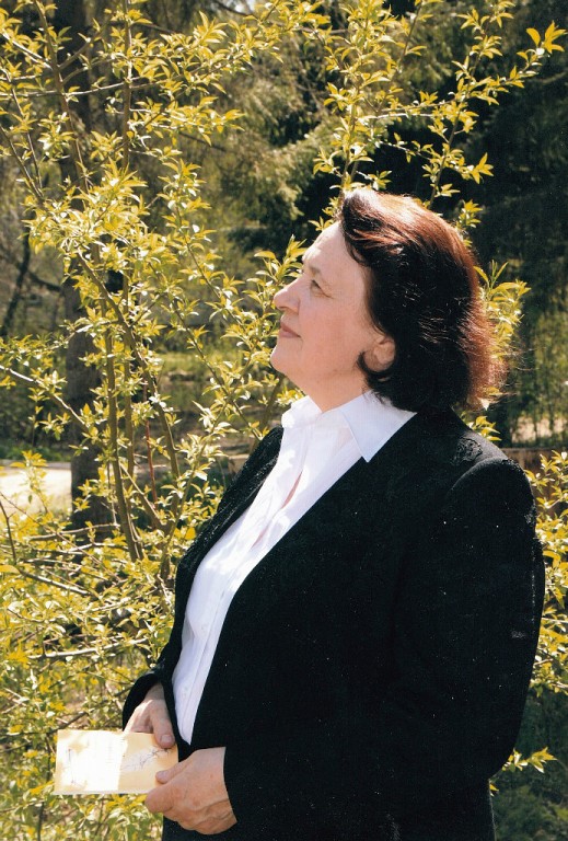 ������ ����������