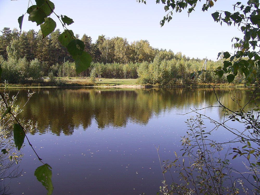 Енюшина Еня