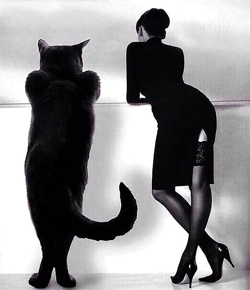 ����� ����������