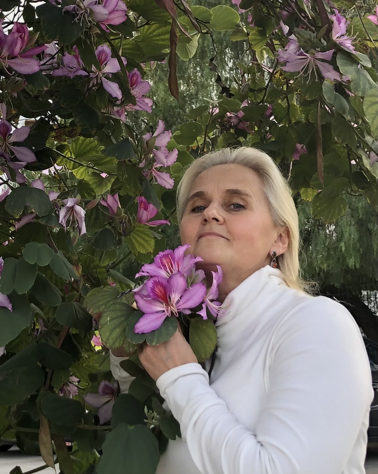 ����� ����