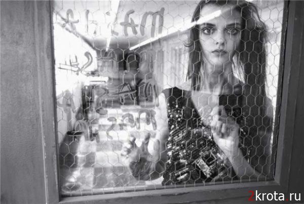 ����� ����������