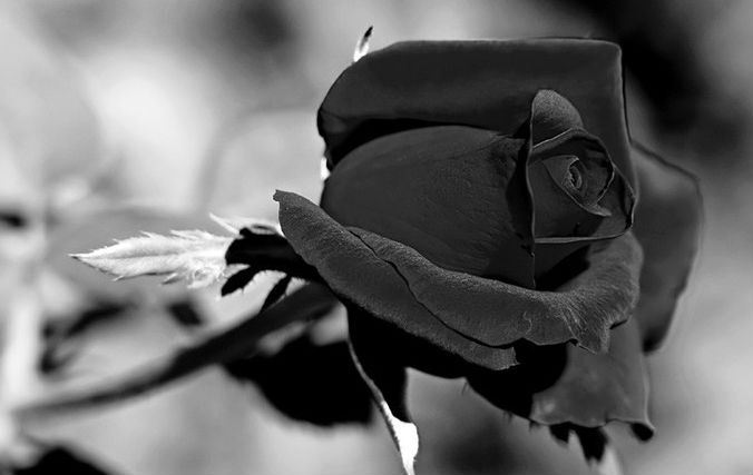 Лада Эллада