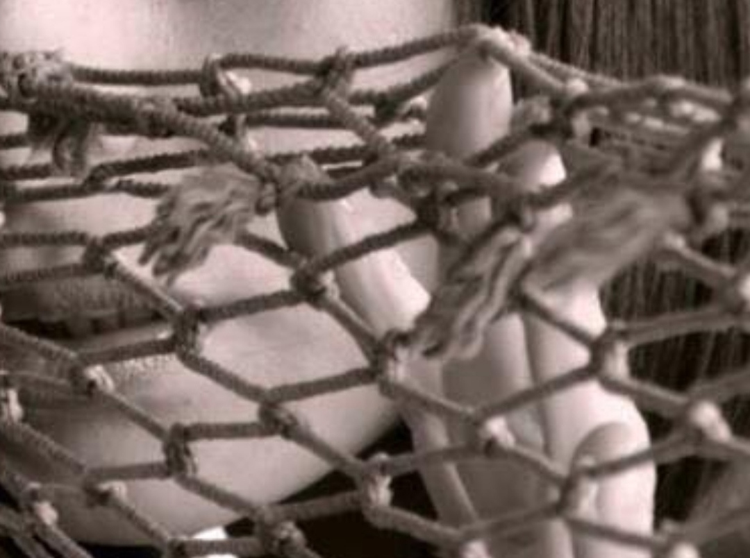 ���� ���