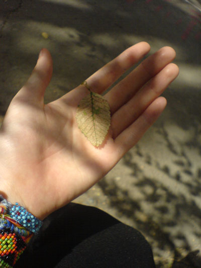 ����������