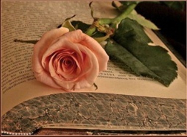 Валери Вашест