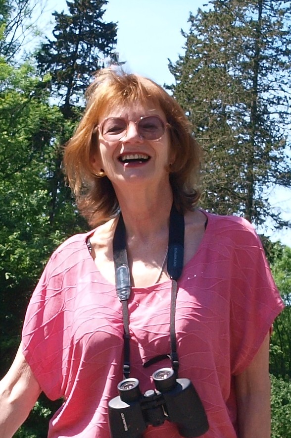 ����� ����������