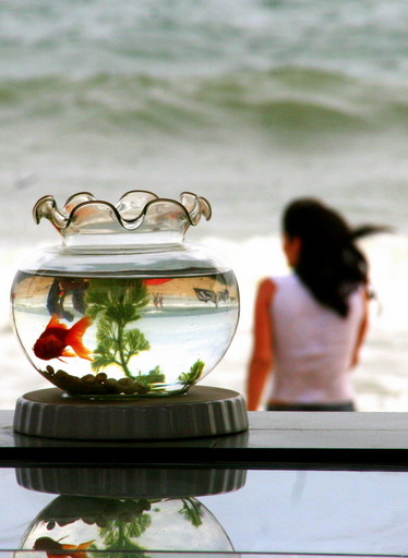 ���������� ������