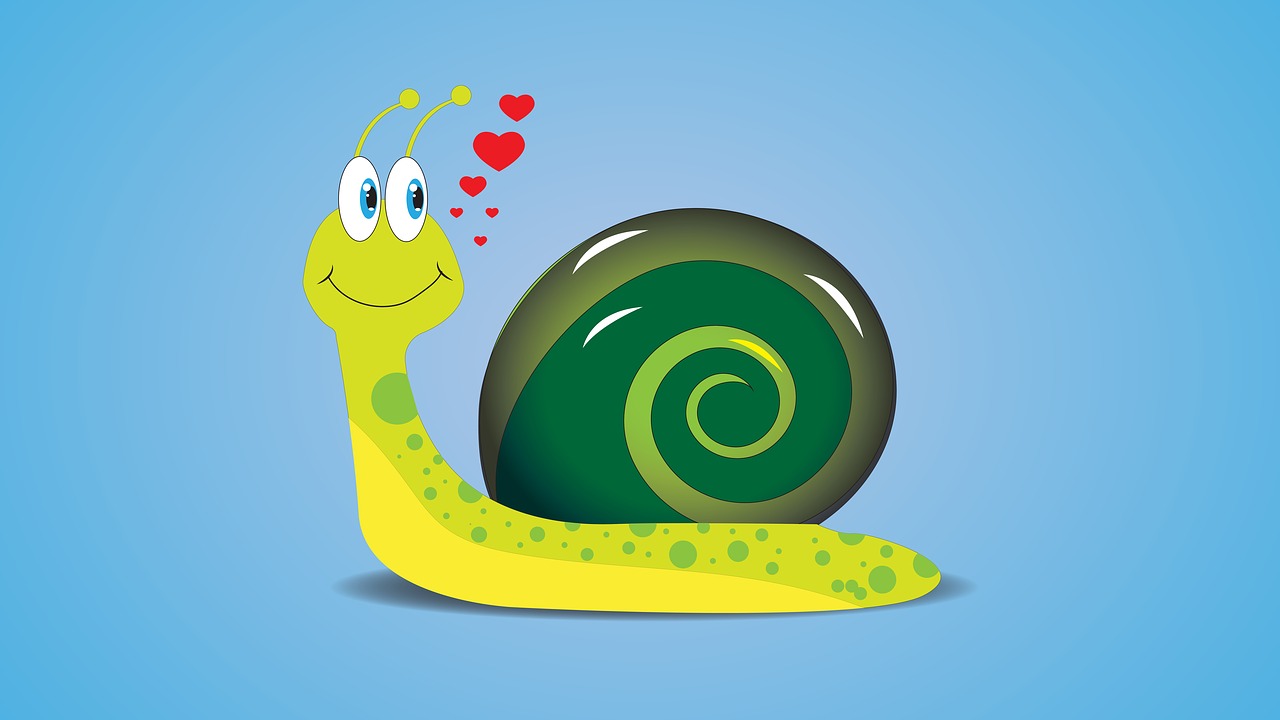 ���� ����