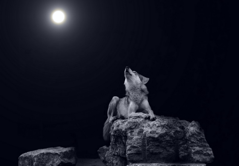 �������� ������