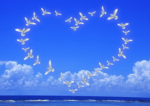 ������ ������