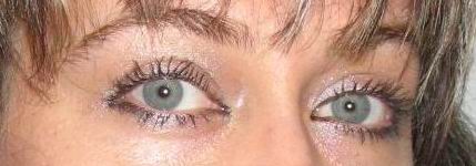 ����� ���������