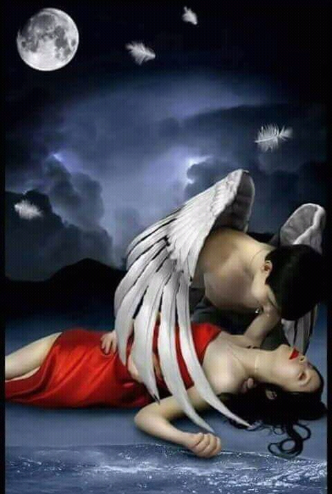 �������� �������