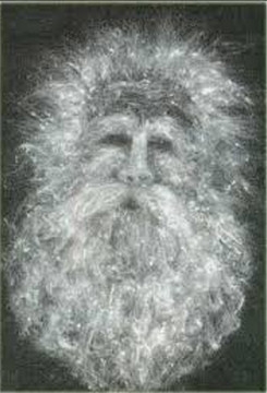 Ди Джи Терн