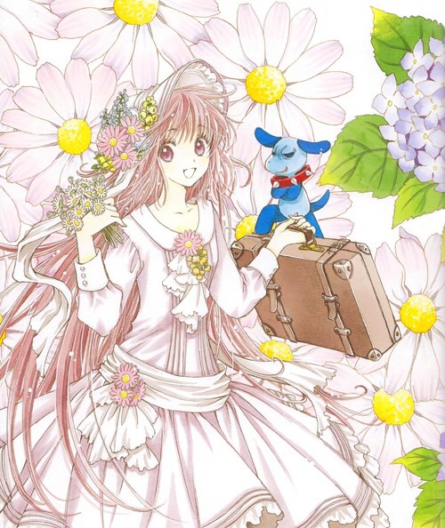 ���� �����