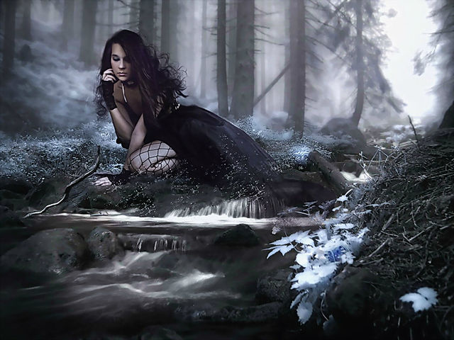 ��� �����������