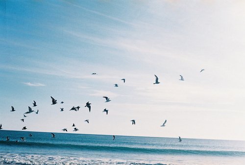 ������� ���������������