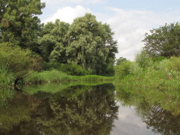 ���� ���������