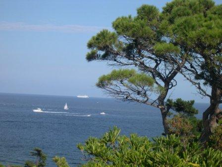 Елена Леонова 4