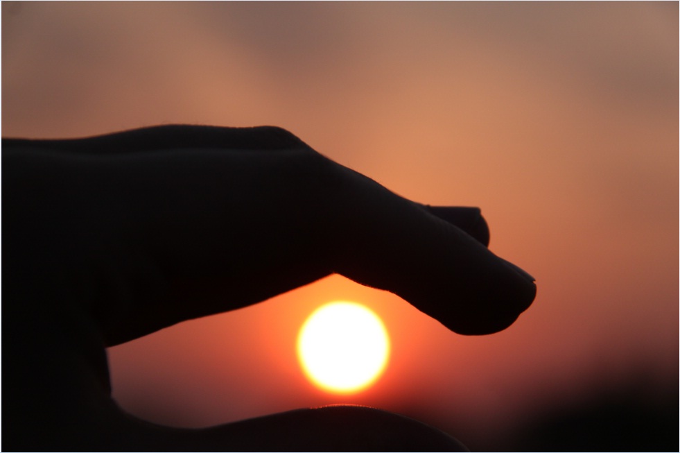 ���� �����