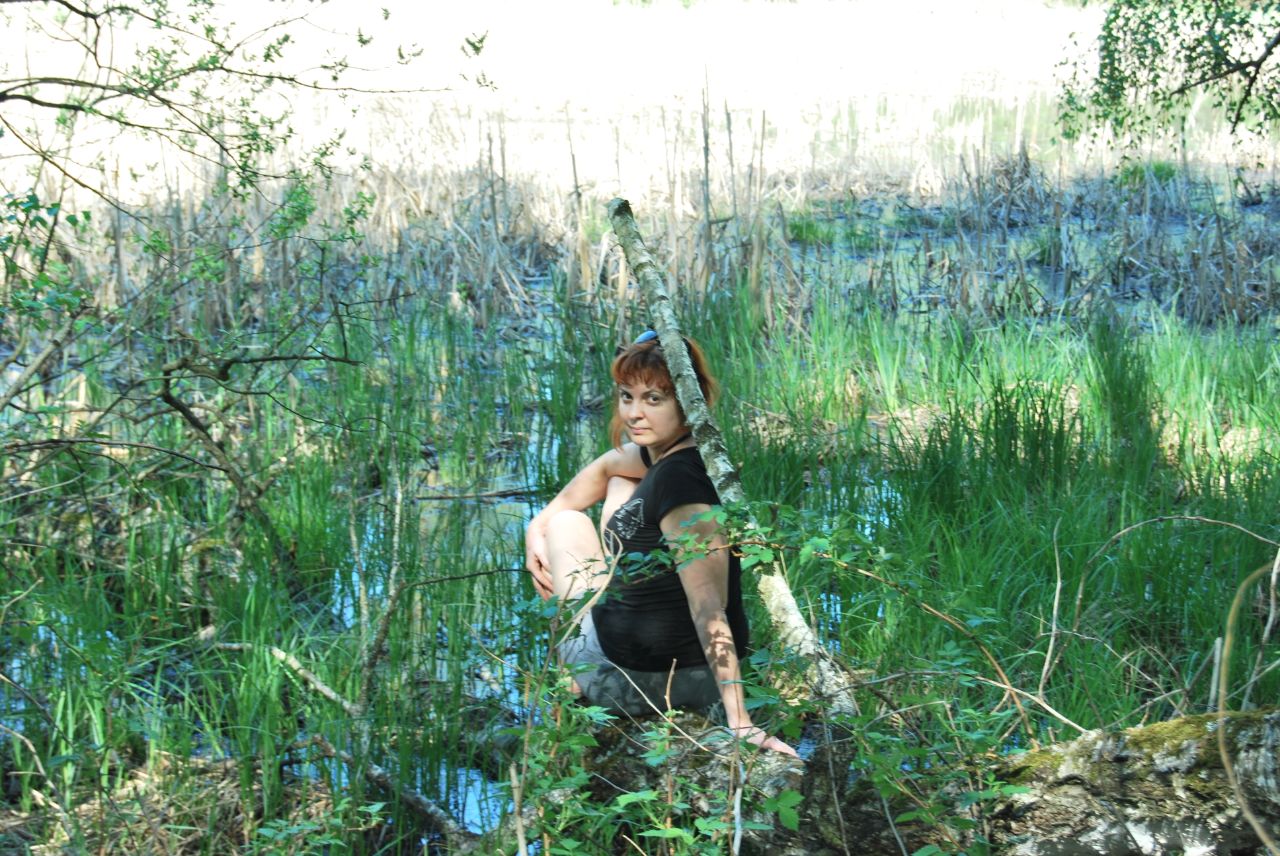 ���� �����������