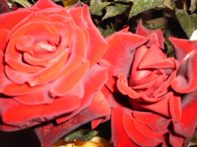 ����� ���������