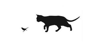 �������� �����