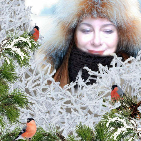 ������ �������