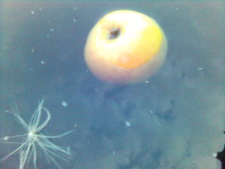 ����� ������