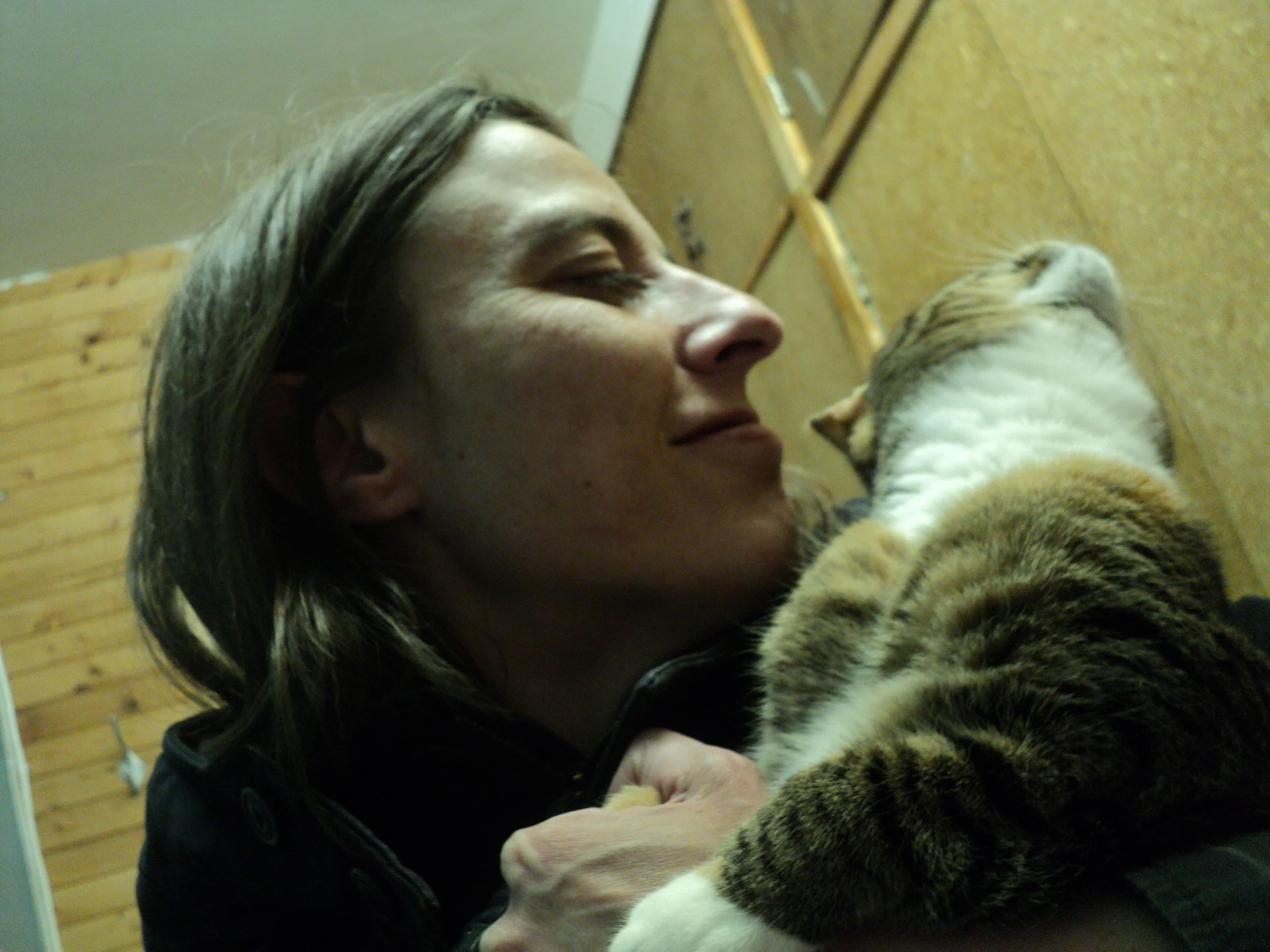 ����� ��������