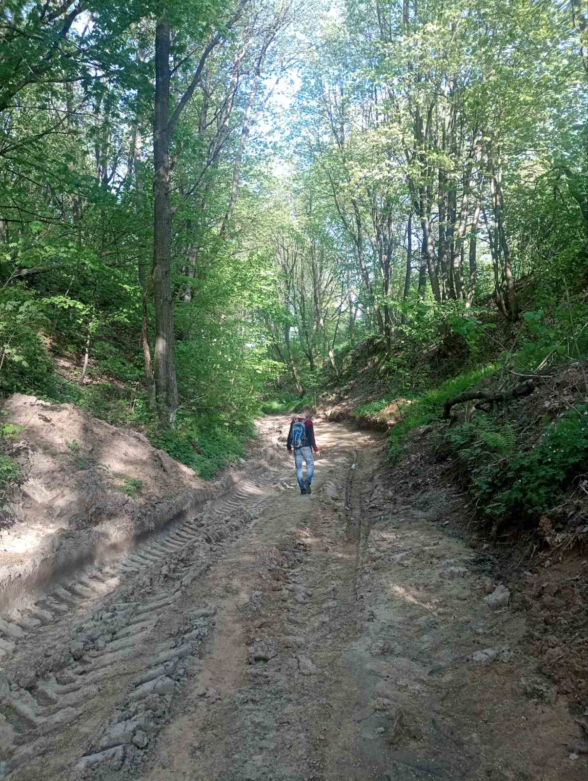 ����� ���