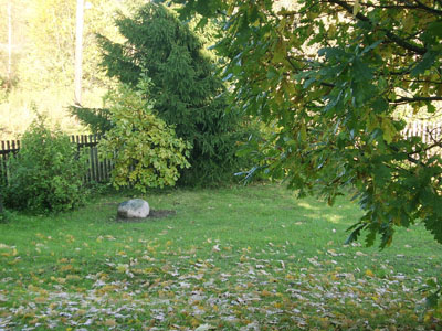 ����� ���