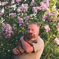 ������ ������