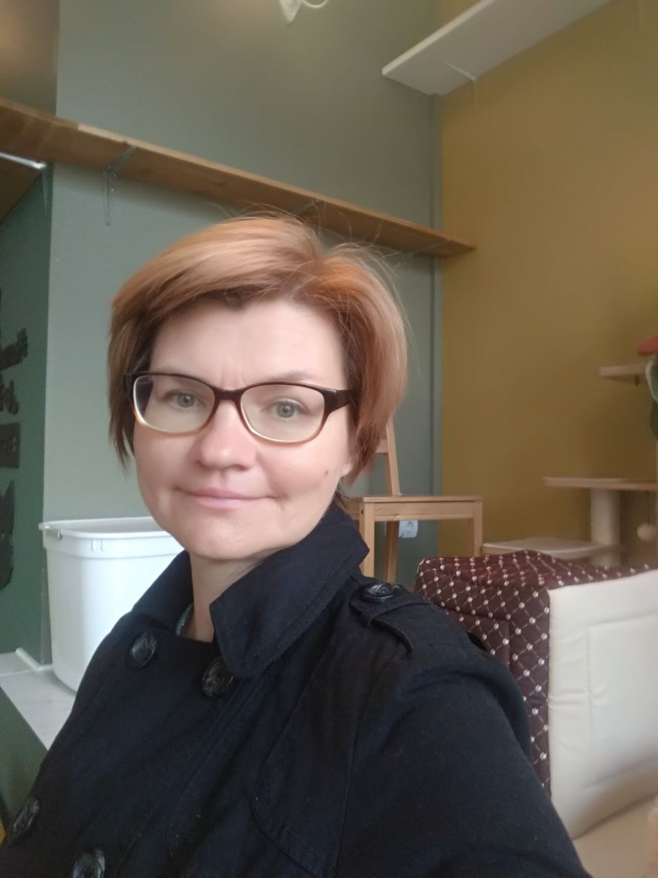 ���� �����������