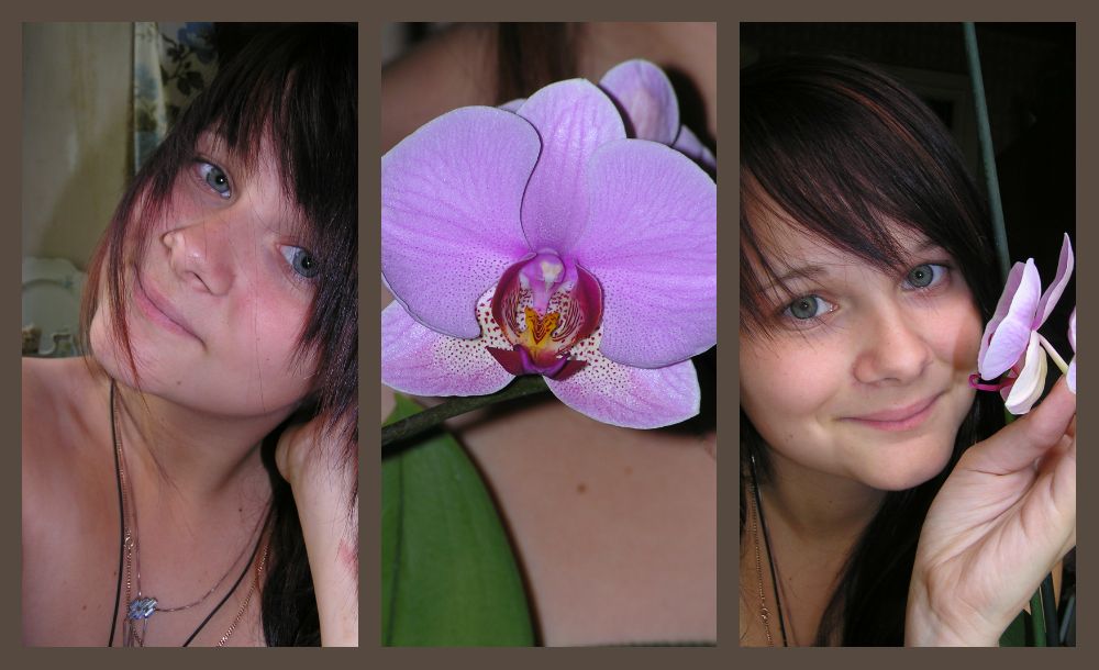 ������� ��������