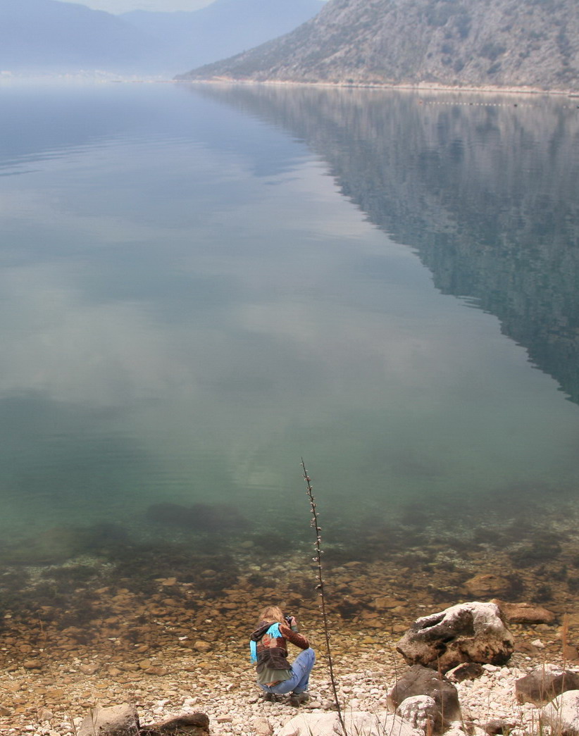 Экстрим Лес