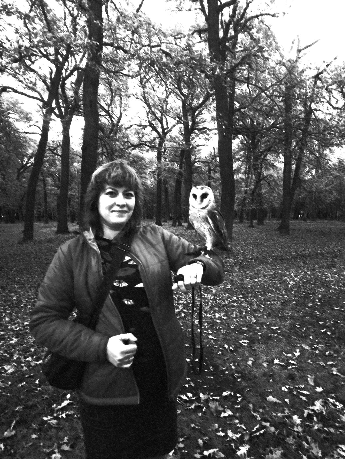 ����� �����