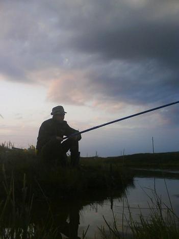 ������ ����