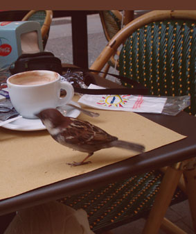 ��� ����