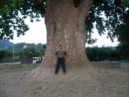 �������� ˸���