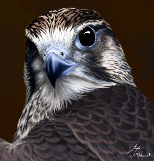 ������ ����