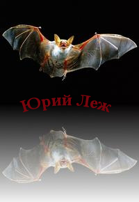 ���� ���