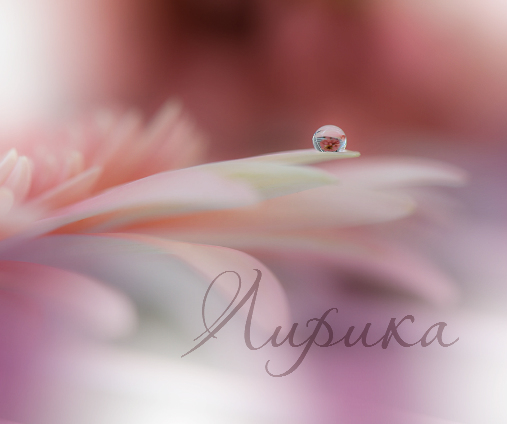 ��������� �������� �����