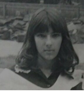 ���� �����������