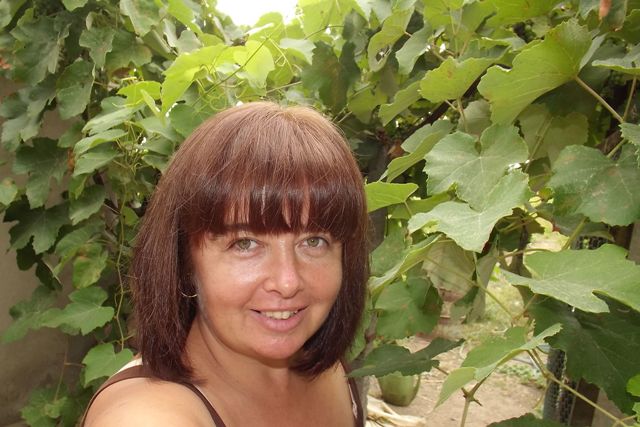 ���� ������