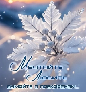 ���� ���