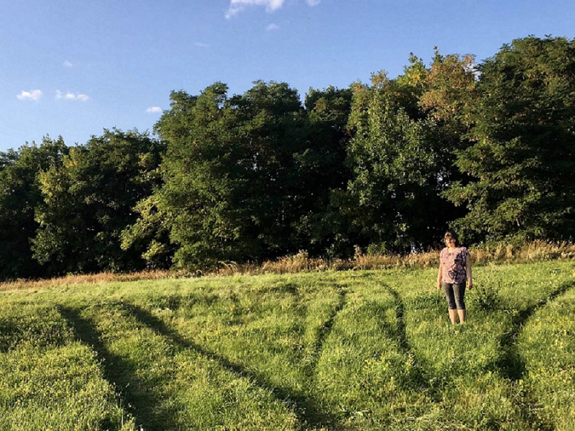 ����� ��������