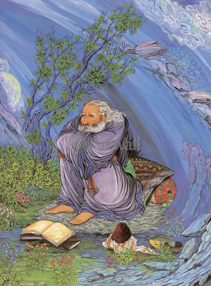 ������ ��������