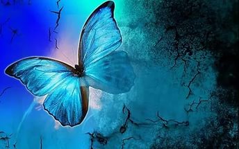 ���� ����